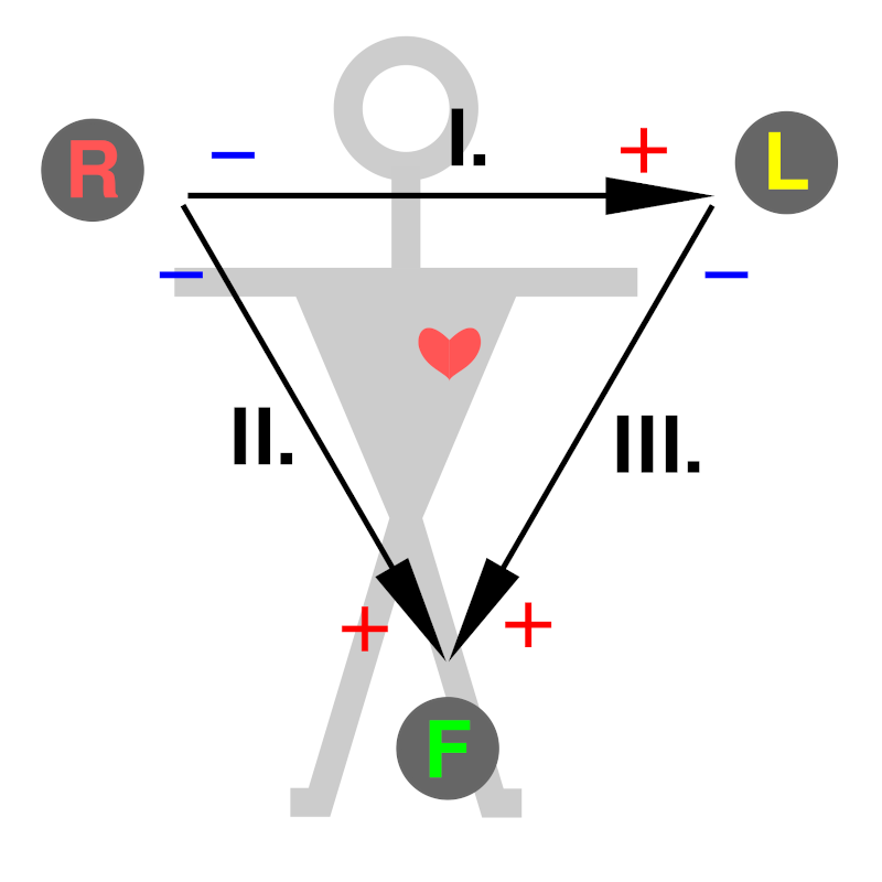 tecnica:misc:ecg90a:ecg-einthoven-triangle.png