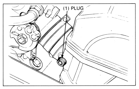 Carburetors synchronization: Plug